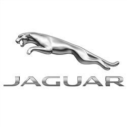 jaguar v lizing